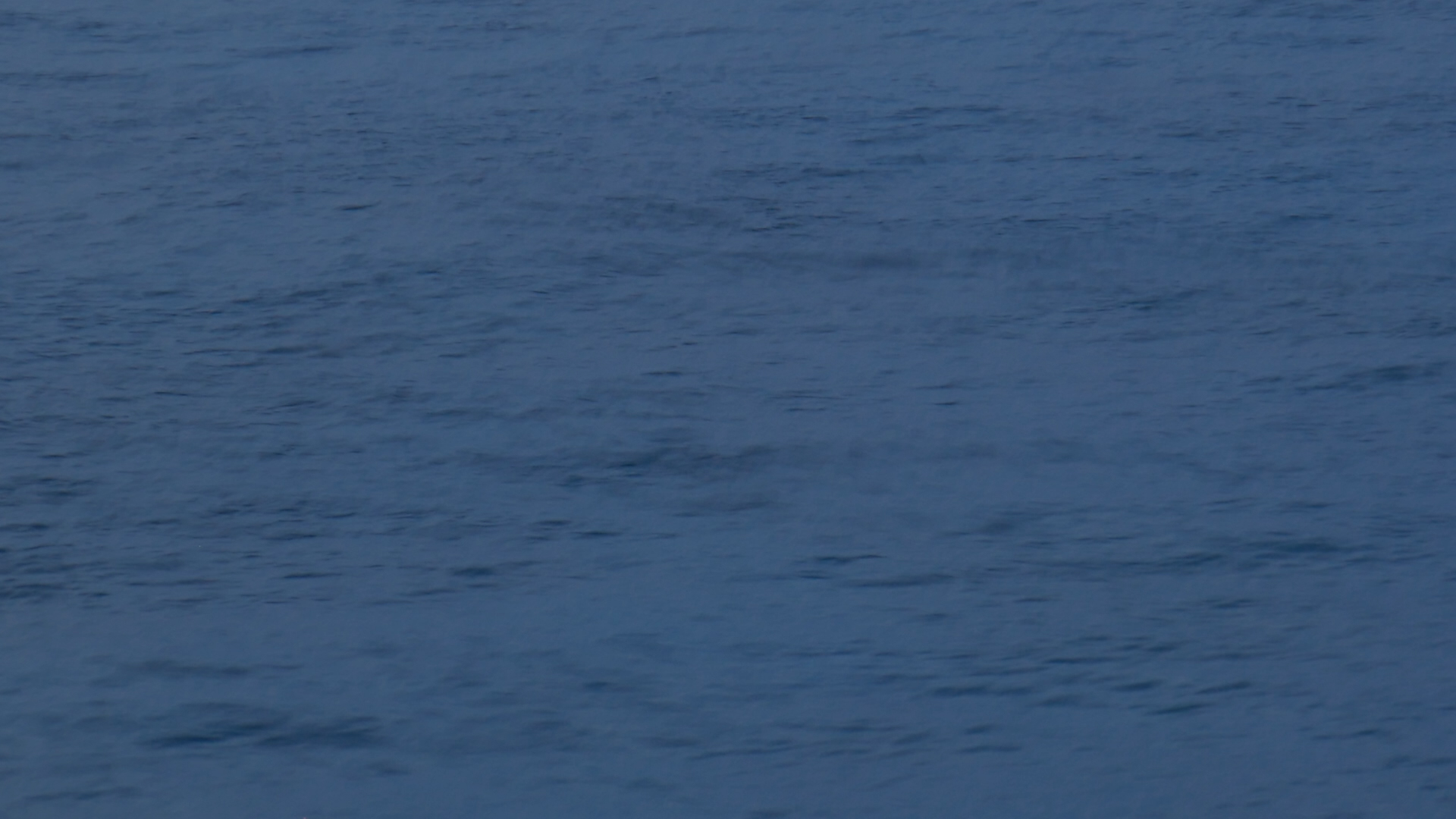 2022-11-08 06 Uhr 12 das Meer (Video)